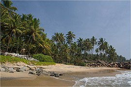 Une plage sur la côte de Malabar, dans le Travancore.