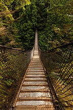 Lynn Canyon Suspension Bridge