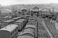 Goods wagons stored in the yard 17 July 1955.