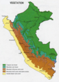 Vegetation of Peru