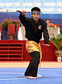 Vietnamesisk Pencak Silat