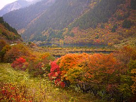 樹正群海