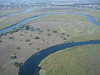 Uun't Okavangodelta