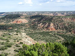 Canyon de Palo Duro.