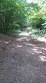 Path near the Old Marlboro Road entrance in Maynard