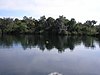 Little Salt Springs