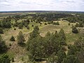 Image 11Nebraska National Forest (from Nebraska)