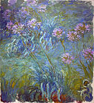 Agapanthus, në mes 1914 dhe 1926, Muzeu i Artit Modern, Nju Jork