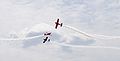 Zlin Z-50LS des Żelazny Aerobatic Teams (ab 14. März 2010)