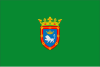 Iruñeko bandera