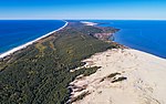 Sandy dune, partially covered by forest