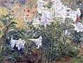 Lilies, 1909