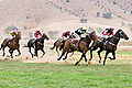 Image 24 Horse racing Credit: Fir0002 Horses race on grass at the 2006 Tambo Valley Races in Swifts Creek, Victoria, Australia. Horseracing is the third most popular spectator sport in Australia, behind Australian rules football and rugby league, with almost 2 million admissions to the 379 racecourses throughout Australia in 2002–03. More selected pictures