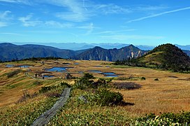 Mokradła na szczycie góry Naeba (2 145 m n.p.m.)