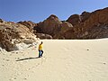 Sand dune on the Sinai Peninsula.