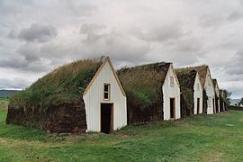 Antaŭa vidaĵo de biendomoj el torfo islande