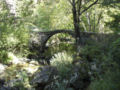 Le pont du Moulin d'Olques.