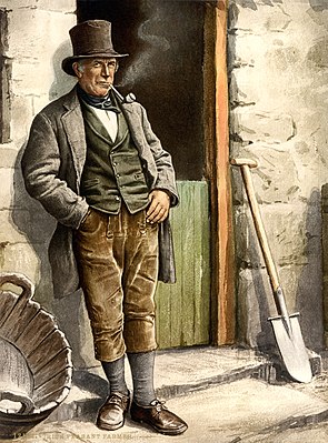 Irish peasant farmer smoking pipe, 1890s.jpg