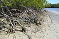 National Park Everglades