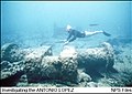 SS ANTONIO LOPEZ Shipwreck