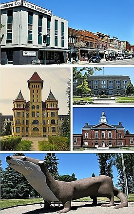 Clockwise from top: Downtown Fergus Falls, Otter Tail County Courthouse, Fergus Falls City Hall, Otto the Otter in Grotto Park, Fergus Falls Regional Treatment Center (former state hospital)