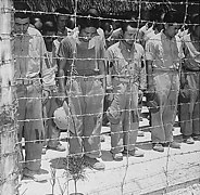 Japanese Prisoners of War at Guam - 15 August 1945.jpg