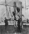 Artista de circo a levantar um cavalo entre escadas (1903)