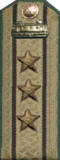 погоны мпс 1943