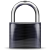 File:Padlock-black.svg