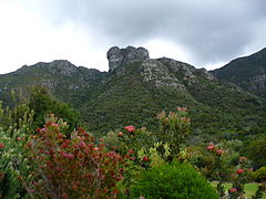 Castle Rock vanaf Kirstenbosch