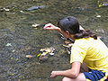 A woman takes samples of water from a river. (from Economics)