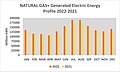 NATURAL GAS+ Generated Electronic Energy 2022–2021