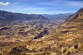 Cañón del Colca