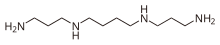 Skeletal formula of spermine