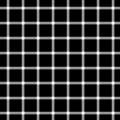 Scintillating grid illusion: Dark dots seem to appear and disappear rapidly at random intersections, hence the label "scintillating".