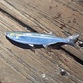 Jacksmelt (Atherinopsis californiensis)[47]