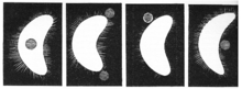 Dessins de Fontana montrant les illusions qu'il a aperçues autour de Vénus.