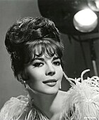 Wood in 1964