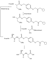 Fmoc solid state peptide synthesis with orthogonal protecting groups