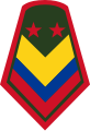 Sargento mayor (Colombian National Army)[20]