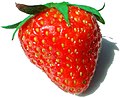 Buah strawberi