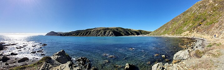 Ohariu Bay and Mākara Beach