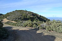 Farther up on the trail