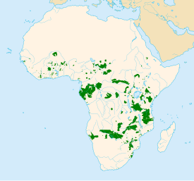 Den afrikanske savanneelefants og skovelefantens udbredelse.