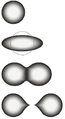 Image 70The stages of binary fission in a liquid drop model. Energy input deforms the nucleus into a fat "cigar" shape, then a "peanut" shape, followed by binary fission as the two lobes exceed the short-range nuclear force attraction distance, and are then pushed apart and away by their electrical charge. In the liquid drop model, the two fission fragments are predicted to be the same size. The nuclear shell model allows for them to differ in size, as usually experimentally observed. (from Nuclear fission)