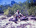 Image 81Aldabra giant tortoise from the islands of the Aldabra Atoll in the Seychelles (from Indian Ocean)