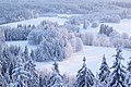 Winter in Estonia