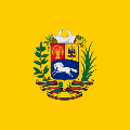 Venezuela (pozemní) Venezuelská vlajka