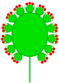 Compound capitulum