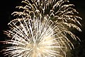 more Fourth of July fireworks from San Jose, 1 second exposure